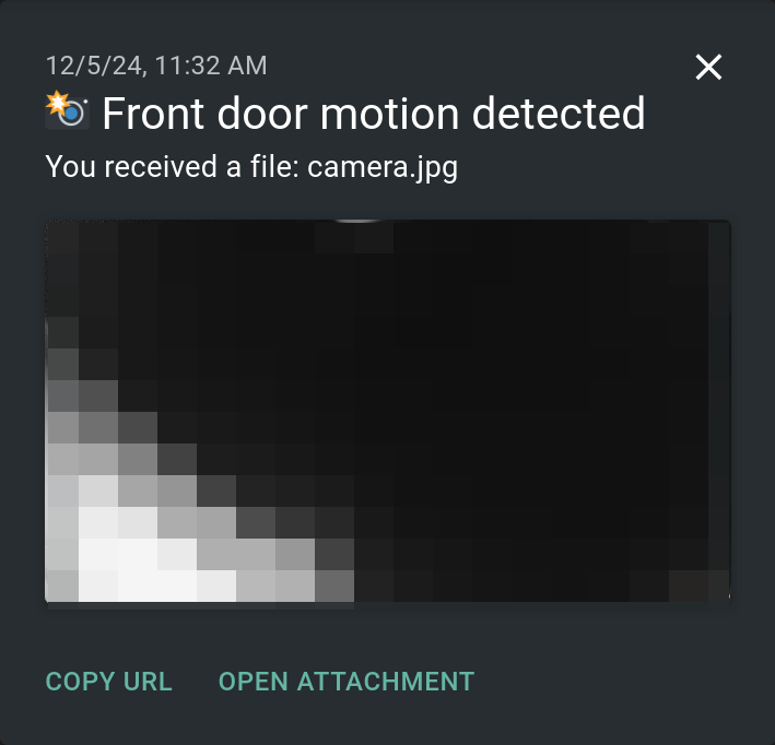 A screenshot of the ntfy interface showing 'Front door motion detected. You received a file: camera.jpg' and the actual photo itself